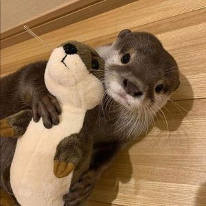 Meet your Posher, Deelyla